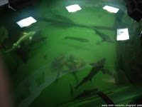 Road Trip - Delta Dunarii 162