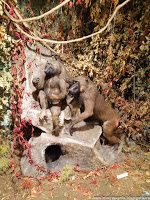 Road Trip - Delta Dunarii 163