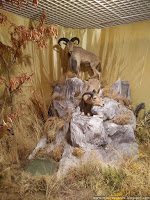 Road Trip - Delta Dunarii 164