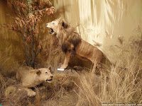 Road Trip - Delta Dunarii 151