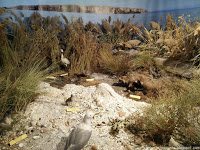 Road Trip - Delta Dunarii 152