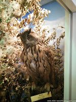 Road Trip - Delta Dunarii 153