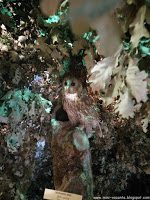 Road Trip - Delta Dunarii 154