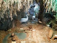 Road Trip - Delta Dunarii 155