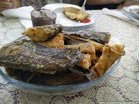 Road Trip - Delta Dunarii 127