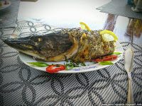 Road Trip - Delta Dunarii 146