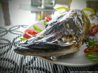 Road Trip - Delta Dunarii 147