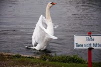 Road Trip - Oktoberfest 46