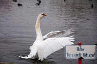 Road Trip - Oktoberfest 45