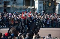 Road Trip - Londra 19