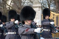 Road Trip - Londra 23