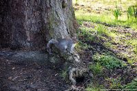 Road Trip - Londra 56