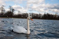 Road Trip - Londra 48