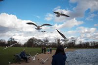 Road Trip - Londra 50