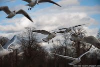 Road Trip - Londra 49