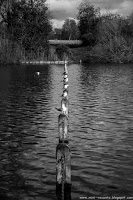 Road Trip - Londra 52