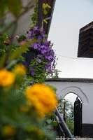 Road Trip - Castelul Corvinilor 10