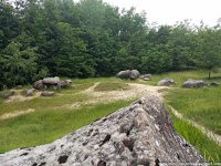 Road Trip - Castelul Corvinilor 17