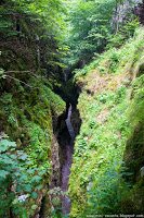 Road Trip - Castelul Corvinilor 29