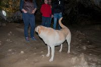 Road Trip - Castelul Corvinilor 33