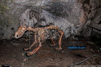 Road Trip - Castelul Corvinilor 35