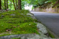 Road Trip - Castelul Corvinilor 38