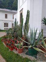 Road Trip - Castelul Corvinilor 45