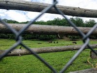 Road Trip - Castelul Corvinilor 67