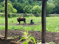 Road Trip - Castelul Corvinilor 70