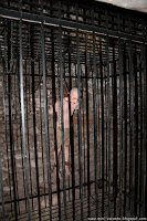 Road Trip - Castelul Corvinilor 77