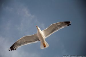 Road Trip - Thassos 1