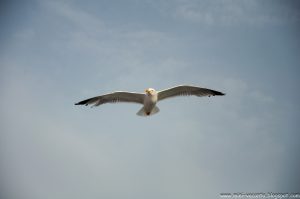 Road Trip - Thassos 2