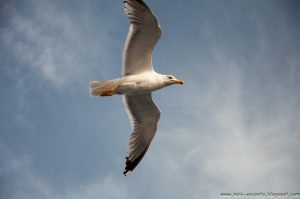 Road Trip - Thassos 3