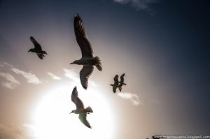 Road Trip - Thassos 4