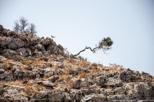 2016.06_Thassos_081_resize