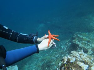 2016.06_Thassos_097_resize