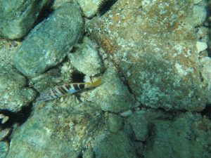 2016.06_Thassos_114_resize