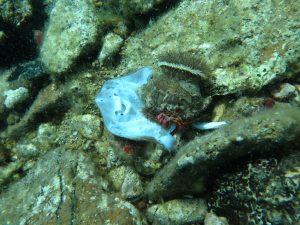 2016.06_Thassos_117_resize