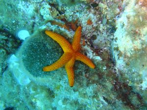 2016.06_Thassos_118_resize