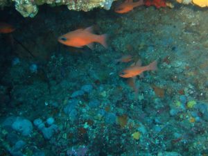 2016.06_Thassos_125_resize