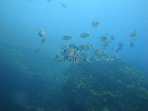 2016.06_Thassos_139_resize