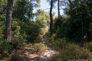 2016.06_Thassos_263_resize