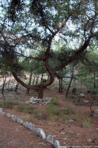 2016.06_Thassos_324_resize