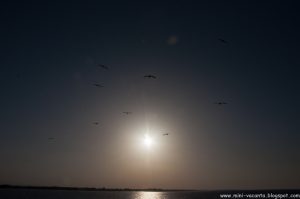 2016.06_Thassos_545_resize