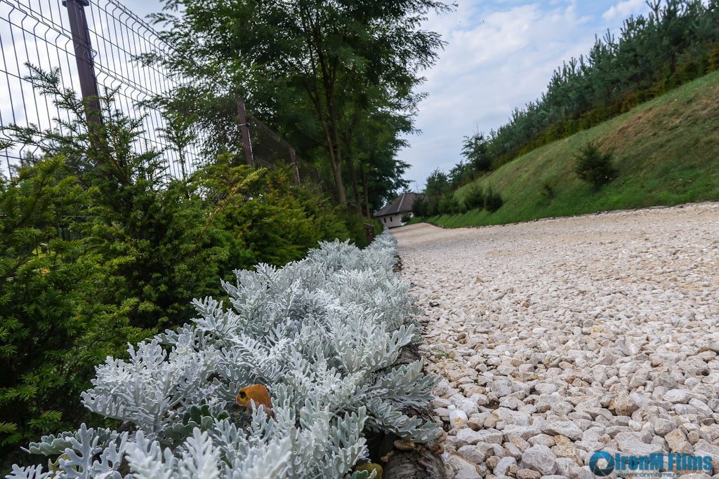 Road Trip - Ţara Făgăraşului 3