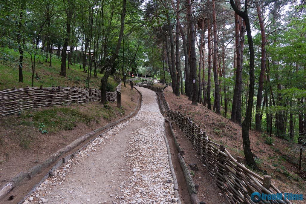 Road Trip - Ţara Făgăraşului 12