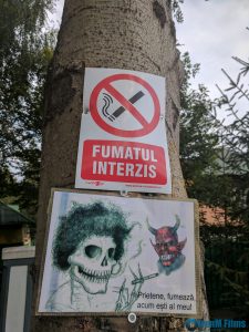 Road Trip - Ţara Făgăraşului 61